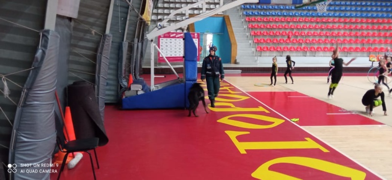 Кинологическими расчетами Ногинского спасательного центра МЧС России был обследован спортивный комплекс «Знамя»