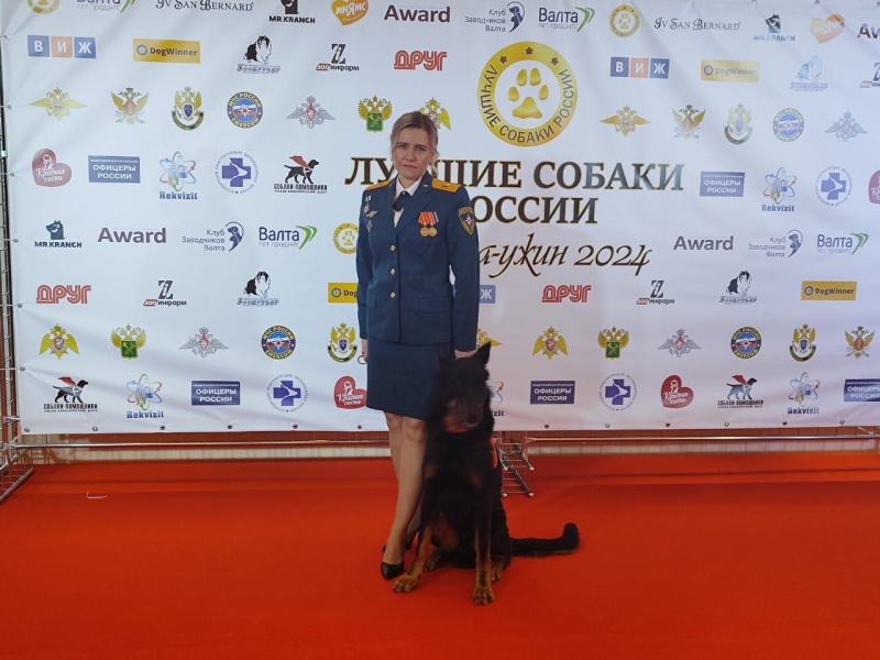 Служебная собака из Ногинского СЦ получила награду на церемонии «Лучшие собаки России».