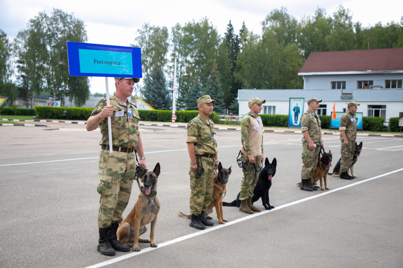 В Ногинском СЦ проходят соревнования по многоборью кинологов