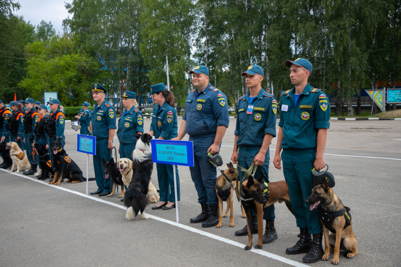 В Ногинском СЦ проходят соревнования по многоборью кинологов