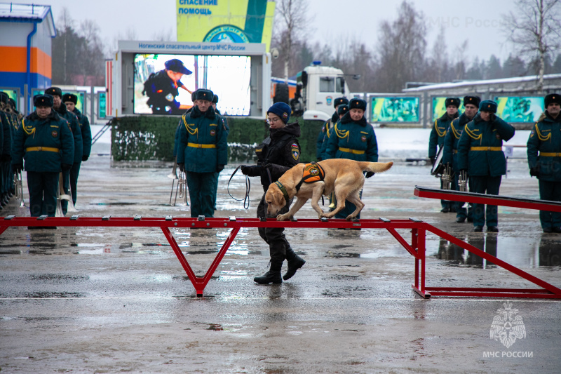 Присягнули на верность родине