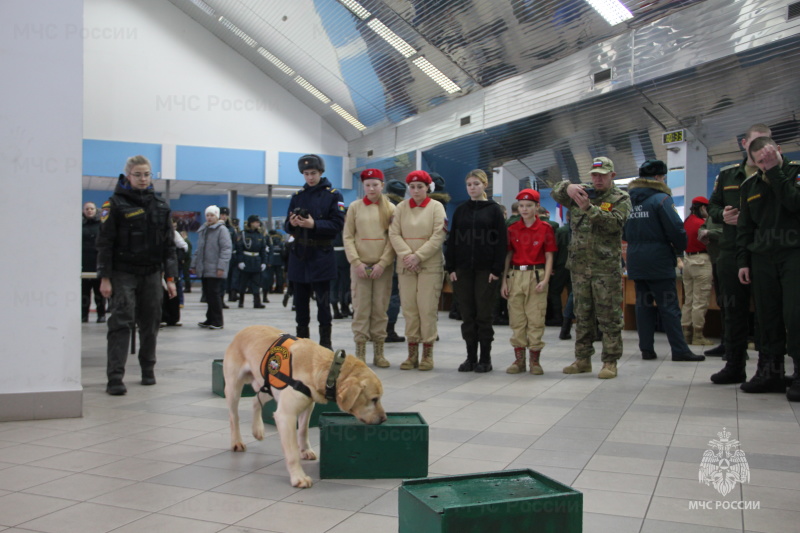 Участие в военно-патриотическом фестивале.