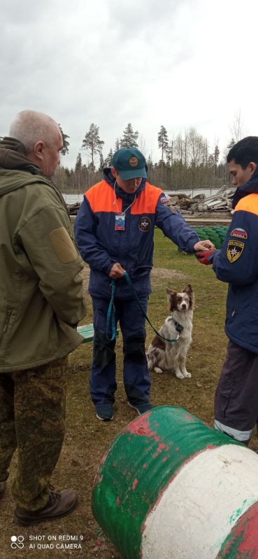 В Ногинском спасательном центре проходят обучение кинологические расчеты МЧС России.