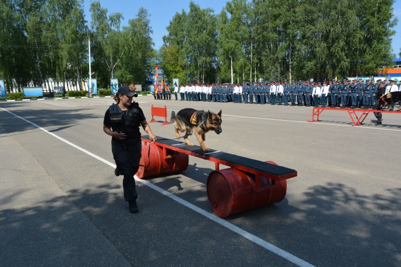 В Ногинском ордена Жукова спасательном центре МЧС России молодое пополнение приняло военную присягу