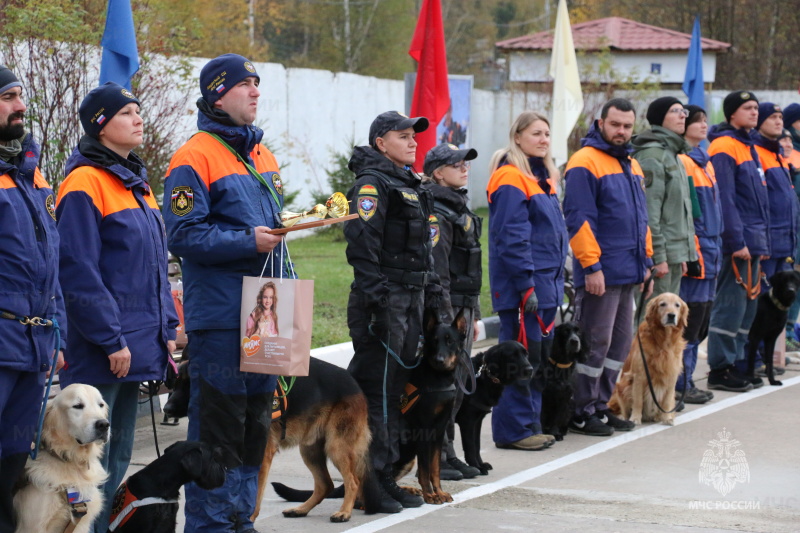 В Ногинском СЦ завершились сертификационные испытания и учебно-тренировочные сборы кинологов МЧС России