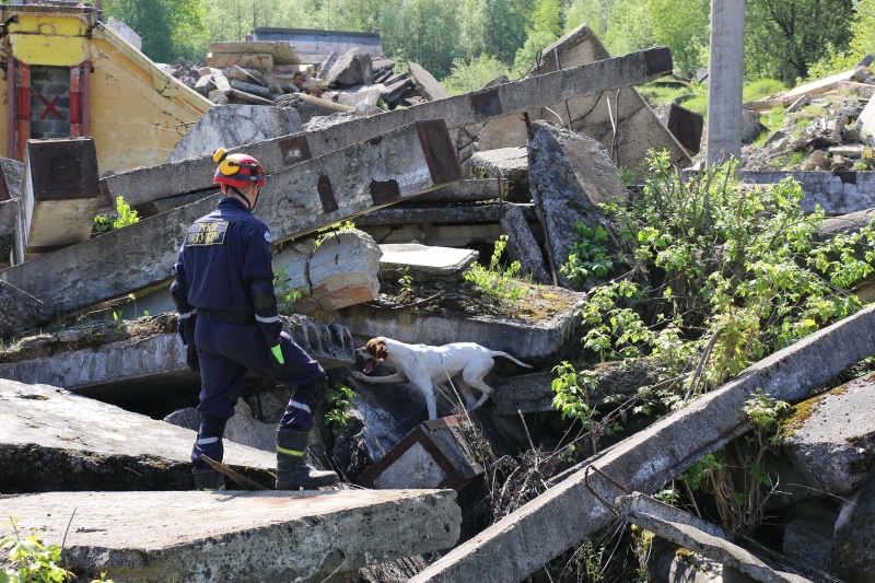 На территории Ногинского спасательного центра прошли учения Корпуса сил Содружества Независимых Государств для ликвидации последствий чрезвычайных ситуаций природного и техногенного характера