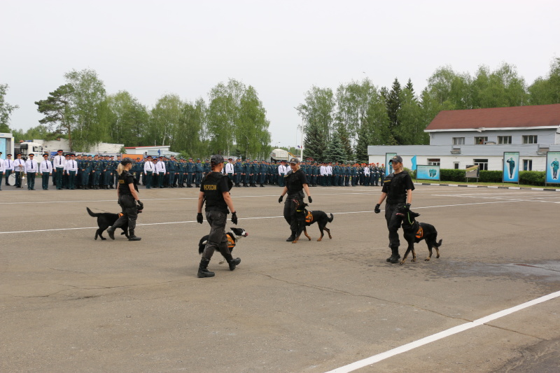 В Ногинском ордена Жукова спасательном центре молодое пополнение приняло военную присягу