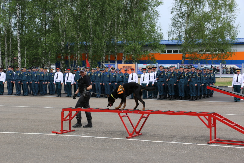В Ногинском ордена Жукова спасательном центре молодое пополнение приняло военную присягу