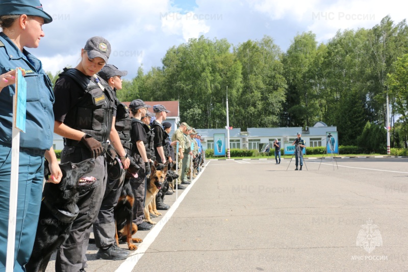 На базе ФГКУ "Ногинский СЦ МЧС России" проведены соревнования по многоборью кинологов