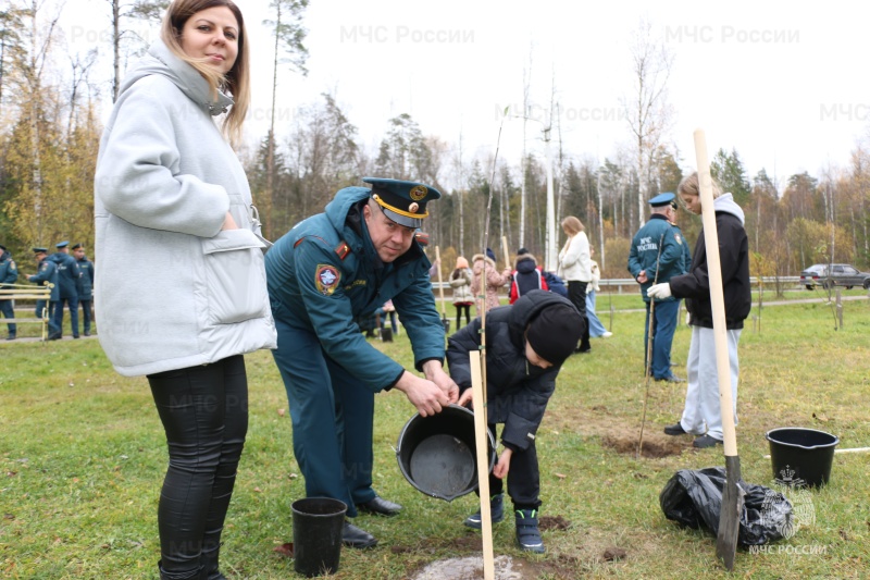 В Ногинском ордена Жукова спасательном центре прошла семейная акция "Семейное дерево" В Ногинском ордена Жукова спасательном центре прошла семейная акция "Семейное дерево"
