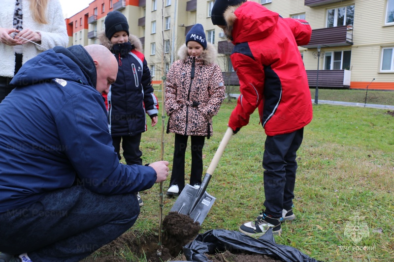 В Ногинском ордена Жукова спасательном центре прошла семейная акция "Семейное дерево" В Ногинском ордена Жукова спасательном центре прошла семейная акция "Семейное дерево"