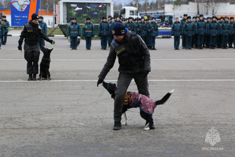 14.11.2025 в Ногинском ордена Жукова спасательном центре МЧС России прошли торжественные мероприятия по случаю принятия военной присяги