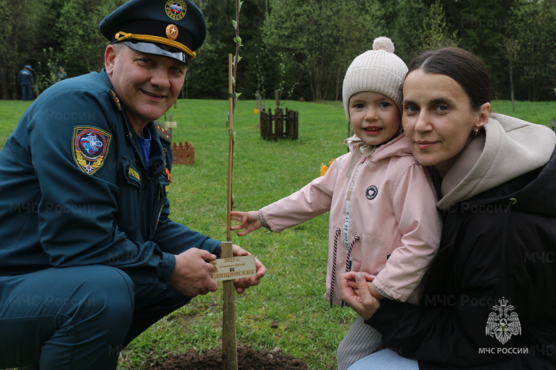 На территории домов офицерского состава Ногинского ордена Жукова спасательного центра прошла акция "Семейное дерево"