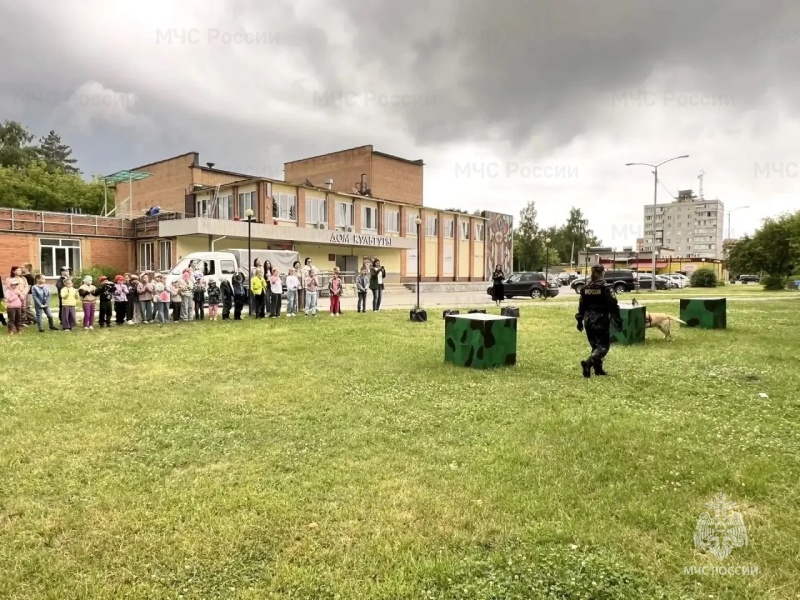 Личный состав Ногинского ордена Жукова спасательного центра провел показательные выступления кинологических расчетов для подрастающего поколения