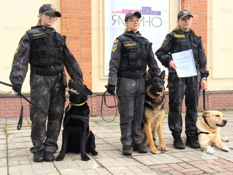 Личный состав Ногинского ордена Жукова спасательного центра провел показательные выступления кинологических расчетов для подрастающего поколения