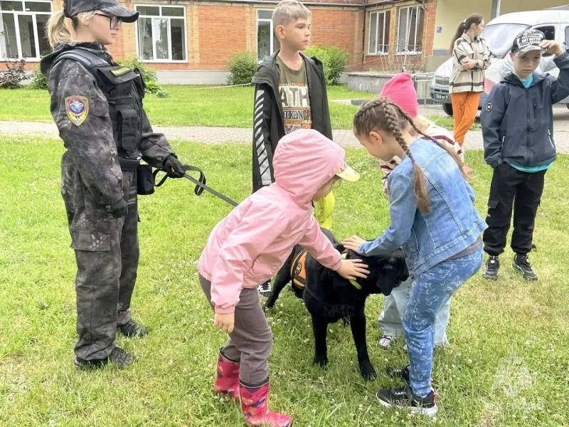 Личный состав Ногинского ордена Жукова спасательного центра провел показательные выступления кинологических расчетов для подрастающего поколения