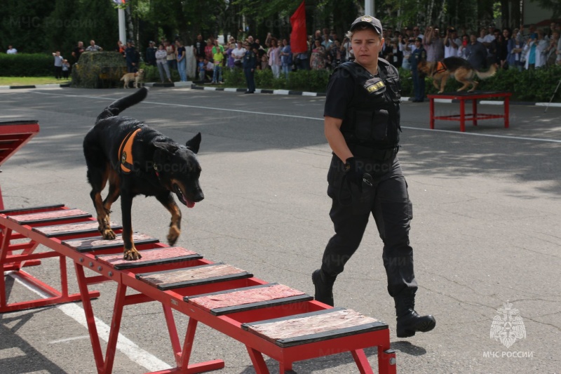 В Ногинском ордена Жукова спасательном центре МЧС России прошли торжественные мероприятия, посвященные принятию военной присяги молодым пополнением
