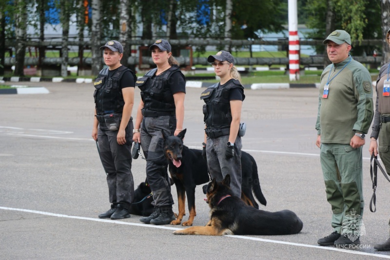 Команда Ногинского ордена Жукова спасательного центра завоевала серебро на чемпионате МЧС России по многоборью кинологов
